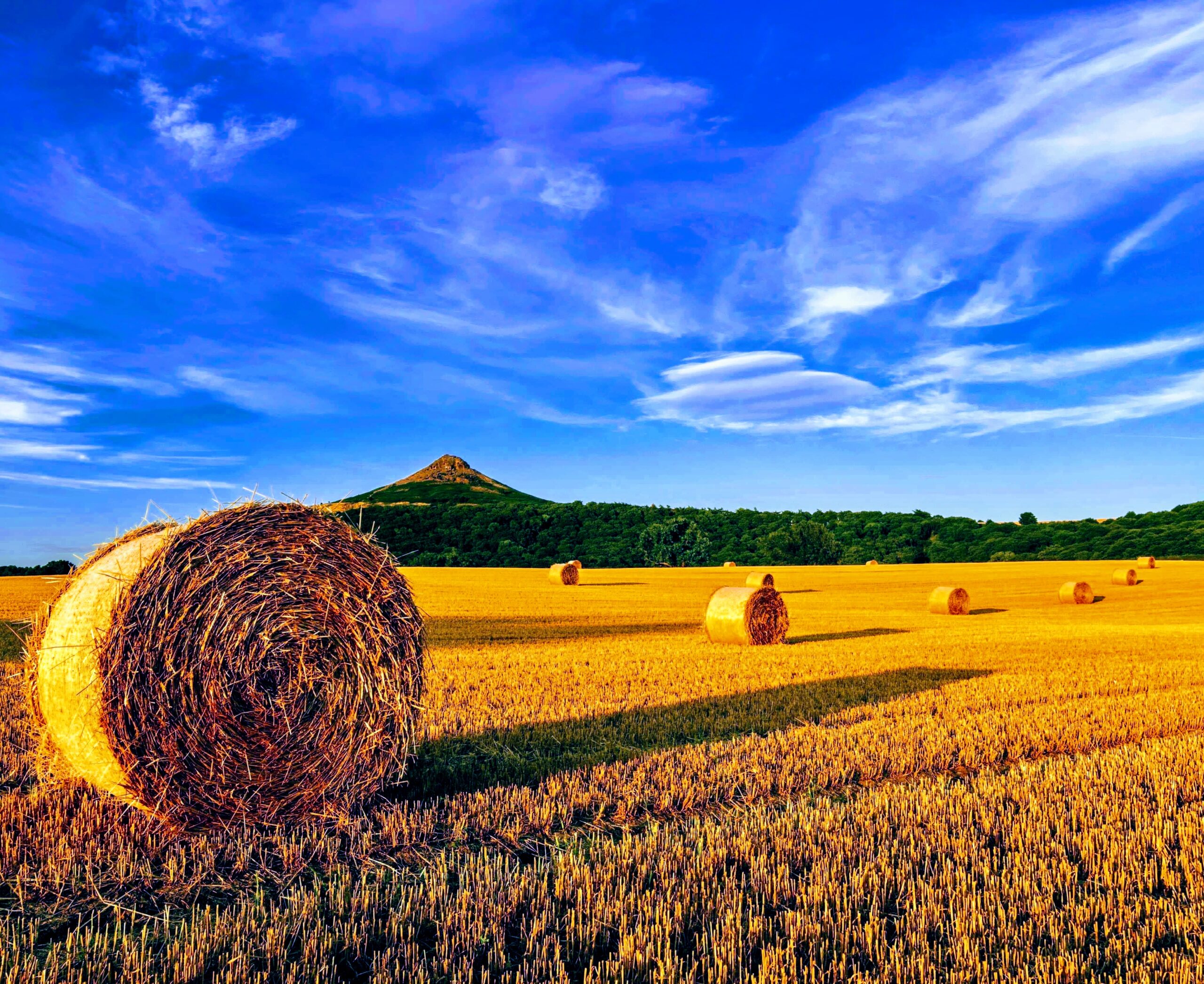 Roseberry Topping and harvested field - effects