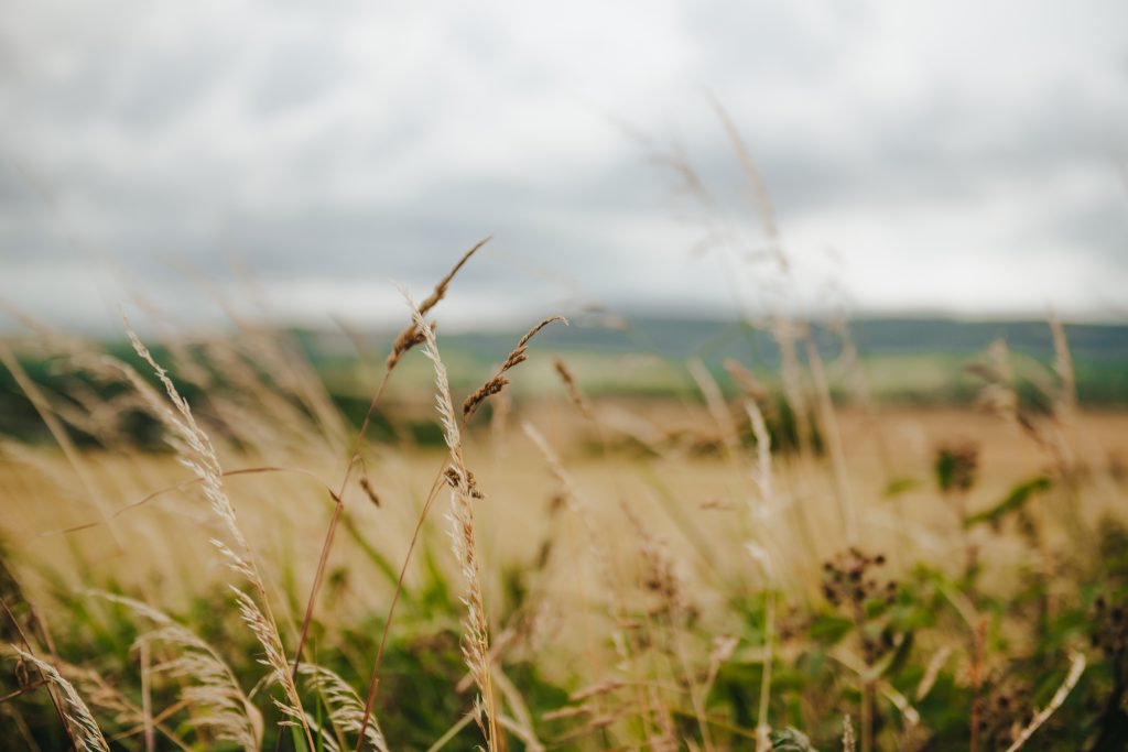 Sustainability and Looking after the Environment